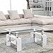 SUNCOO Coffee Table Glass Top with Shelves Home Furniture Clear Rectangle (White)