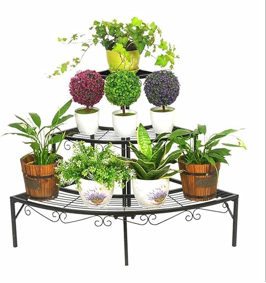 Soporte de exhibición de la flor de la planta Estable 3 plantas de ...