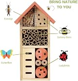 Buddy Wild Insect Bee House - Eco-Friendly Bug Hotel for Garden view 6