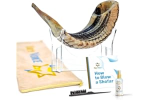 Holy Voice Ram Shofar, 18"-20", Musical Horn, Cleaning Brush, Shofar Stand & Bag, Decorative Jewish Gift