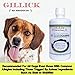 Liquid Glucosamine for dogs vegetarian Natural Hip & Joint Supplement for Dogs Suitable for Dogs Allergic to Shellfish Glucosamine MSM & Hyaluronic Acid Fast Joint Pain & Arthritis relief Made in USA