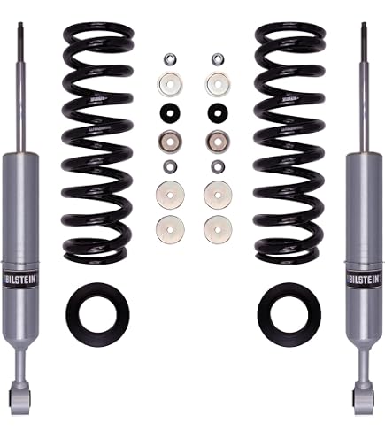 Amazon.com: Bilstein 25-311365 5160 Series Single Shock Absorber