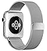 top4cus Double Electroplating Milanese Loop Stainless Steel Replacement iWatch Band with Magnetic Closure Clasp for Apple Watch - 42mm Regular Length - Silver