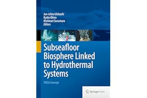 Subseafloor Biosphere Linked to Hydrothermal Systems: TAIGA Concept