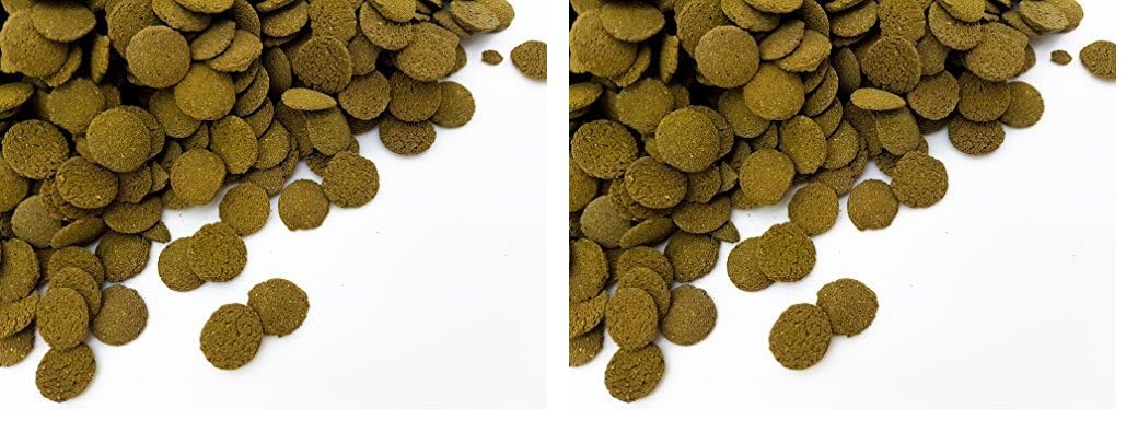 HERONS - Spirulina Algae Wafers - 15 mm Sinking Wafer - For all Bottom-Feeding Fish and Crustaceans - Rich in Fiber - Immune Support - Enhance Colour and Improves Digestion - 300 grams (Pack of 2) — image 1