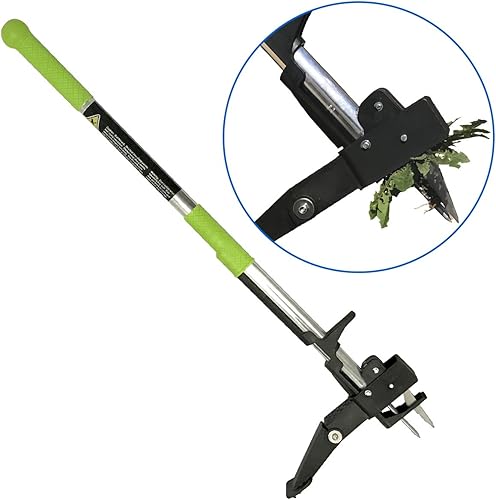 hstcstbl-table__image