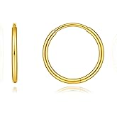 Limerencia Titanium Hoop Earrings for Women,G23 Implant Grade Pure Titanium Lightweight Hoop Earrings for Women Men Sensitive Ears