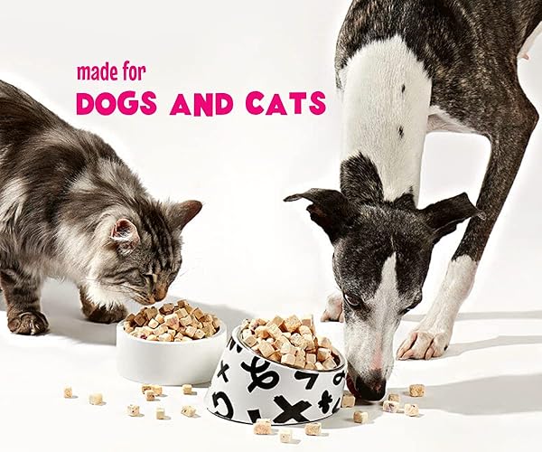 ARYA SIT! – FREEZE-DRIED SINGLE INGREDIENT TREATS (CHICKEN BREAST) FOR DOGS AND CATS – LEAN PROTEIN · GRAIN‑FREE & LOW‑CALORIE · GREAT FOR SENSITIVE TUMMIES & WEIGHT CONTROL