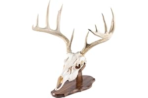 Walnut Hollow Country Display Mounting Kit