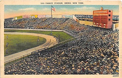 Yankee stadium essay image