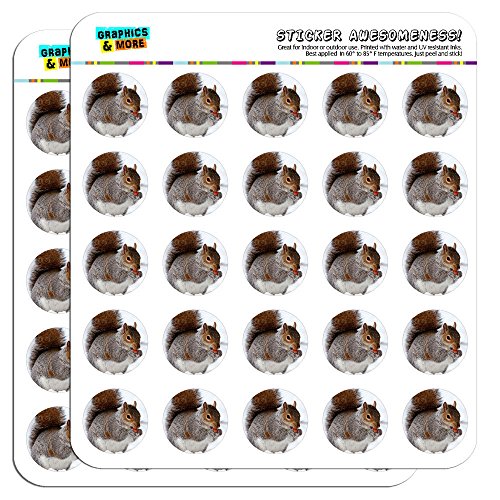 Squirrel Eating in Winter 1" Planner Calendar Scrapbooking Crafting Stickers - Opaque
