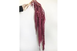 DONGARTS 5 Pcs Bleached Wisteria Vine Hanging Dried Flowers, Natural Preserved Hanging Amaranthus Flowers for Wedding Bouquet, Wall Home Party Decor (Wine Red)