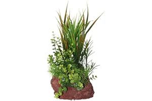 Rock Garden Natural Green Plant with Red Lava Rock Base, 15"