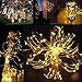 SOLARMKS TWW-924 String, Copper Wired Solar Fairy Lights, Warm White