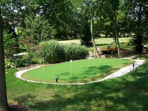 Penncross Creeping Bent Grass, 1 Pound