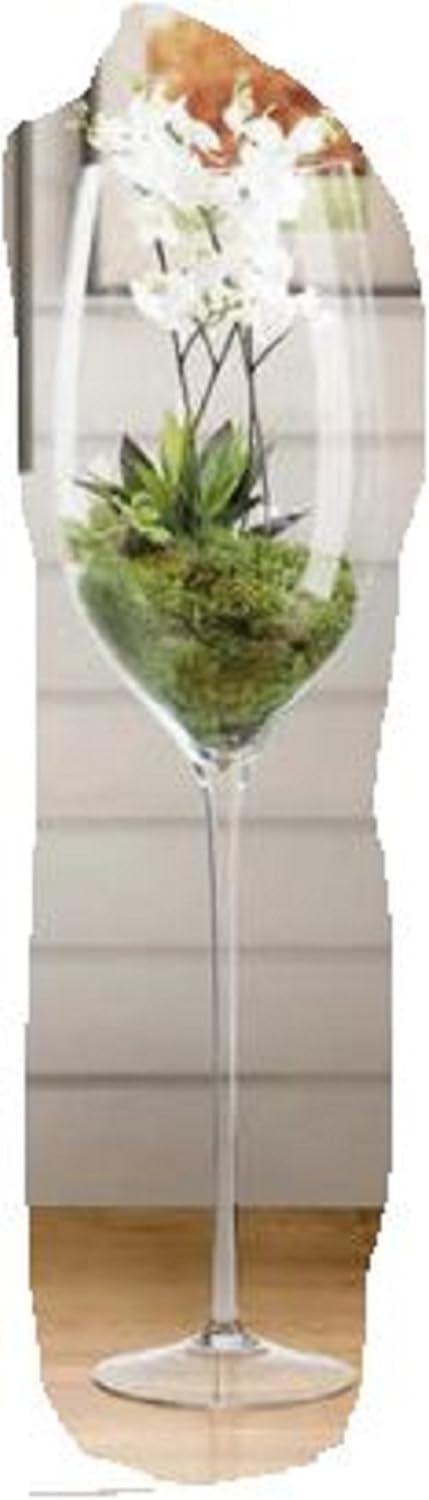 Home Kitchen Aboveboard Lifestyles Huge Wine Glass Vase