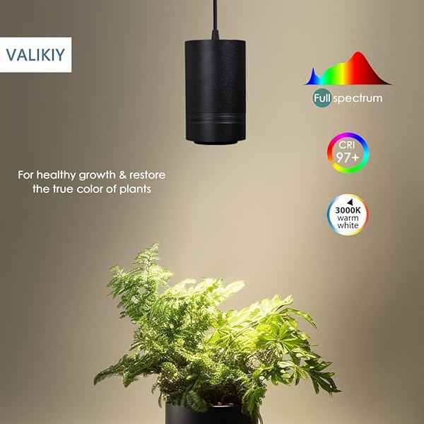 VALIKIY HANGING GROW LIGHT 40W LARGE, FULL SPECTRUM WARM WHITE COLOR, WITH TIMER, PLUG-IN PENDANT GROW LIGHTS WITH 15FT FABRIC POWER CORD, DECORATIVE LIGHT FOR INDOOR PLANTS, FLOWERS