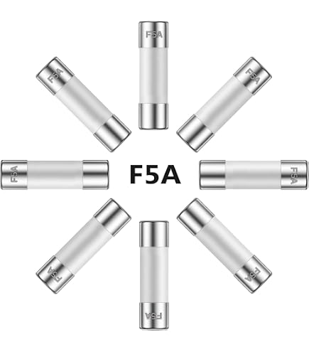 ALLECIN 5x20MM 1A 250V Slow Blow Ceramic Fuses 0.2 x 0.78 Inch 1