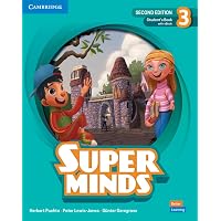 Super Minds Level 3 Workbook with Digital Pack American English