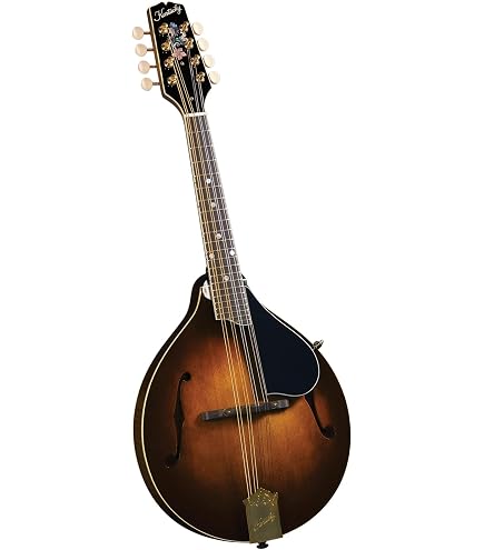 Amazon.com: Kentucky KM-256 Artist A-model Mandolin - Transparent