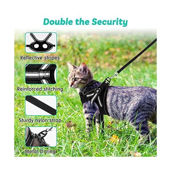 paracord cat harness