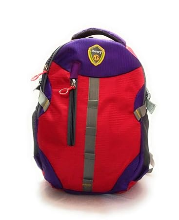 I Berry Polyester Casual Laptop Bags/Backpack for Men with Adjustable Strap Expendable with 2 Compartments .(Under 500) Rs.