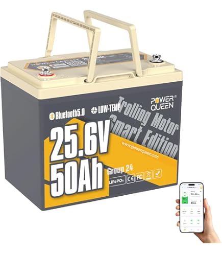 Amazon.com: FLLYROWER 24V Lithium Battery 60AH With BMS and 16500