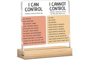 BLUE LEAVES Motivational Office Acrylic Sign,Things I Can't Control Office Decor Sign, Thank You Gifts for Woman Friends Nurse Coworker Decorative Desk Accessories Table Shelf Plaque Signs Decor-02