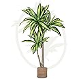 Kunstbaum Groß Dracaena Kunstpflanzen Maia Shop | Künstlicher Bambus