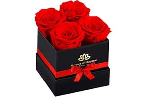 LEEBEAN Forever Flowers Roses in A Box,Real Preserved Flowers,Preserved Roses,Preserved Flowers for Delivery,Forever Flower Gifts for Women/Men/Mom,Flowers for Mothers Day,Valentine's Day Rose Gifts,Red