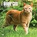 Ginger Cats 2018 Calendar