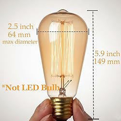 GOENDR E26 40W Edison Bulbs, ST64 2700K Warm