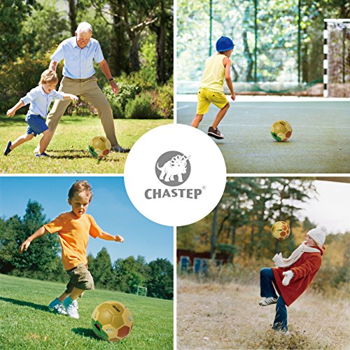 Chastep Soft Toy Ball, Mini Training Foam Soccer for Toddlers and Kids Gift - Ingenuous Turtle