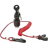 5005801 Boat Ignition Key Switch for OMC Johnson Evinrude 40-200HP Motor | Contains Safety Lanyard, for Johnson Evinrude Outboard Motors 2 &amp; 4 Stroke 1996-Up, Replaces Remote Control Box 175974 765562
