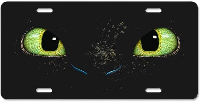 Amazon Co Jp Abstract ナンバープレート 歯なし 燃える目 高光沢アルミニウム ノベルティ カーナンバープレート カバー オートタグホルダー 12インチ X 6インチ スポーツ アウトドア