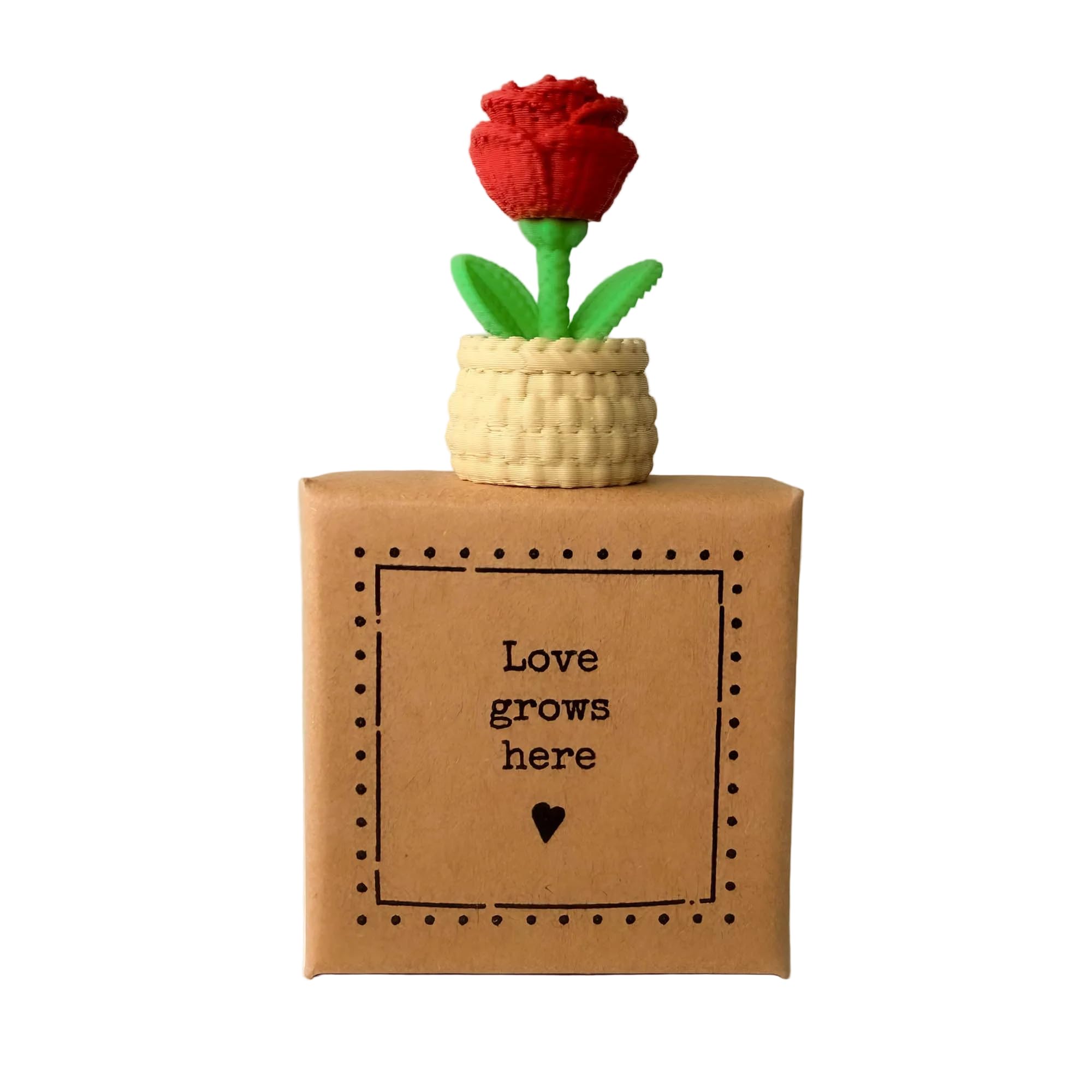 Image Industry Love Grows Here - Tiny Little Gifts - Plant Pot Rose - Best Friend - Sentimental Gifts - Valentines