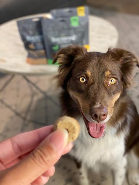 BLACKWOOD OVEN BAKED DOG TREATS, CHICKEN WITH PARMESAN, 8 OUNCE POUCH, TRAINING TREATS FOR ALL LIFE STAGES AND BREED SIZES
