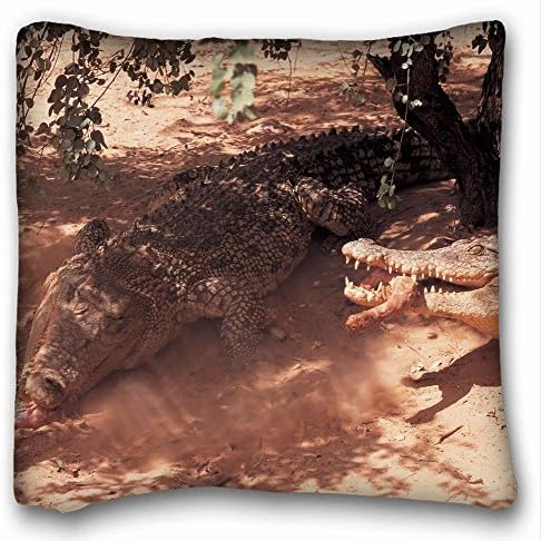 HomeYon Decorative Square Throw Pillow Case Animals crocodiles shadow s meat lunch 18" 18" Two Side