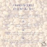 Absolute Aromas Frankincense Essential Oil 10ml Pure Boswellia Carteri view 8