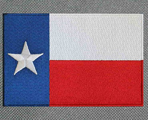 Texas Flag Backpack CLASSIC Texas Bag COOL PURPLE