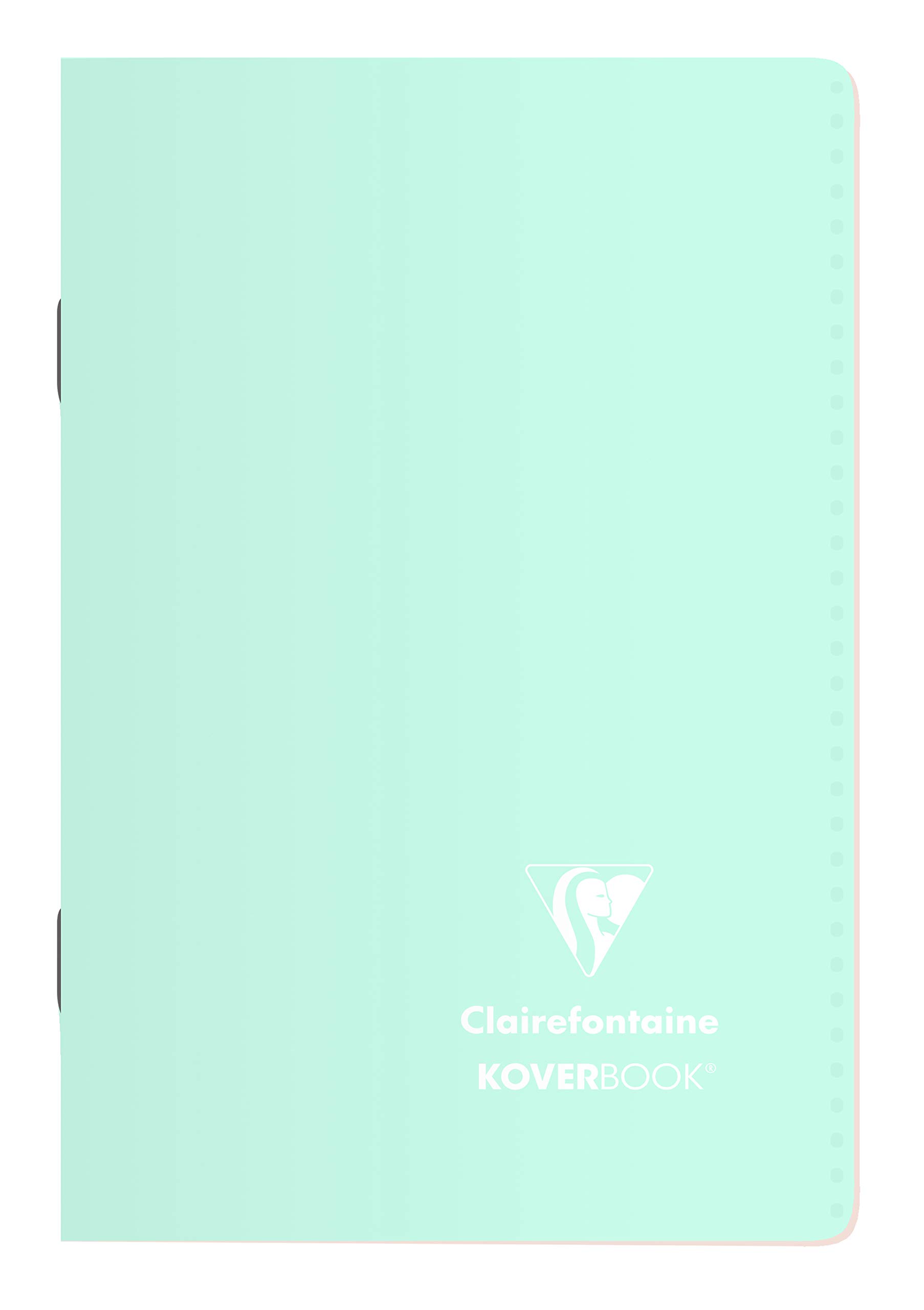 Clairefontaine 941681C Set of 10 Stapled Notebooks Koverbook Blush - 11x17 cm - 96 Pages Small Squares - White Paper 90 g - Opaque Polypro Cover - Random Colours