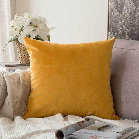 Miulee Lot De 1 Housse De Coussin En Velours Décoratif Canapé Decor Taie Doreiller Super Doux Decoration Maison Salon Chambre Canapé Clic Clac 45 X45