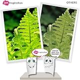 Ink Inspiration 2 Black Ink Cartridges for HP 21 21XL Deskjet Officejet PSC view 3