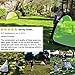 Trailblaze Pop Up Soccer Goals Set - 2 Portable Foldable Kids Soccer Nets w/ 8 Training Disc Cones Extra Pegs + Carry Case - Perfect Youth Soccer Goals for Backyard Extra-Strong Soccer Goal Net