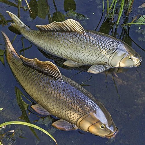 Agricola Decorazione Da Giardino Pesce Carpa Koi L30 Cm Prezzo Per 1 Pezzo Amazon It Giochi E Giocattoli