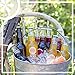 IZZE Sparkling Juice, 3 Flavor Variety Pack, 12 Fl Oz Glass Bottles, 12 Count