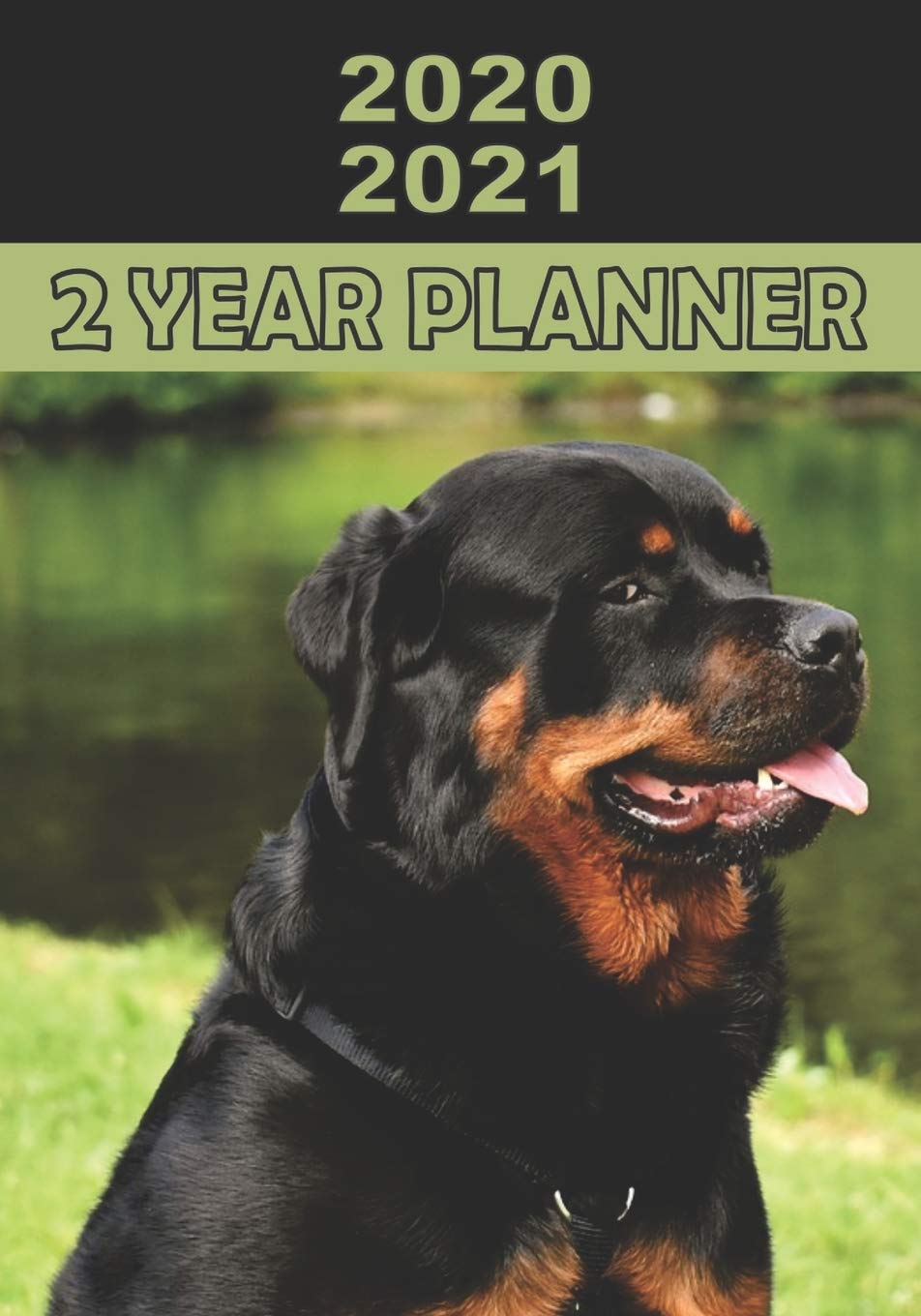 11 months in dog years