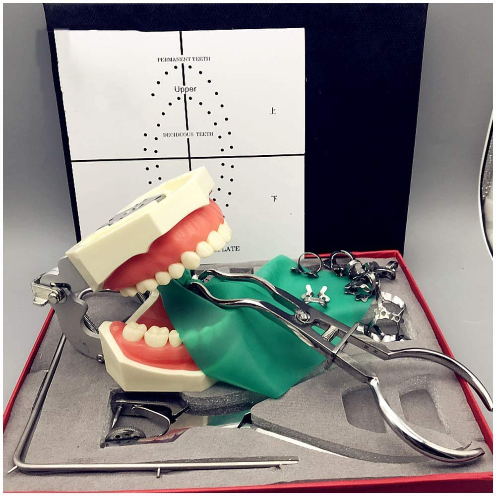 Dental Endodontic Rubber Dam Kit - Rubber Dam Kit + Clamps + Brewer + Frames + Dental Teeth Model - 