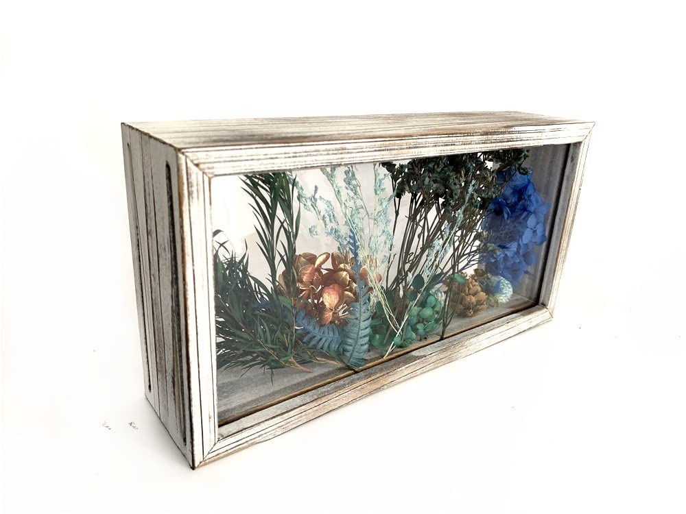 Acrylic Photo Frames, 26X13 cm Clear Double Sided Picture Frame, Desktop Postcard Display Commemorative photo Collection frame Animal and plant herbarium frame (Washed white)