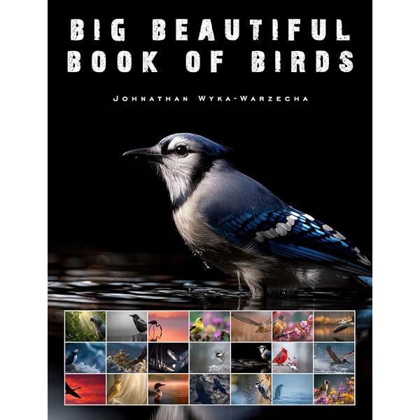 Birds: The Art of Ornithology (Rizzoli Classics): Elphick